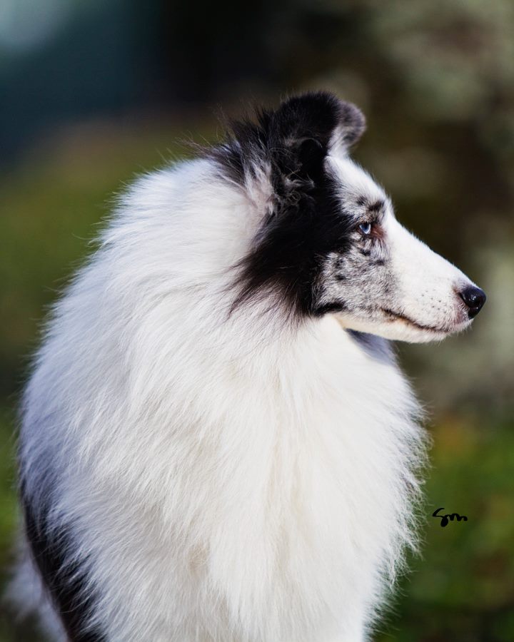 10836628_10203240142947770_693236335_n