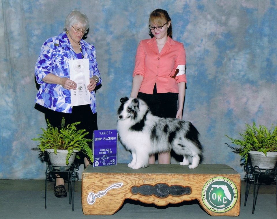 292537_10150989796996253_1842020768_n