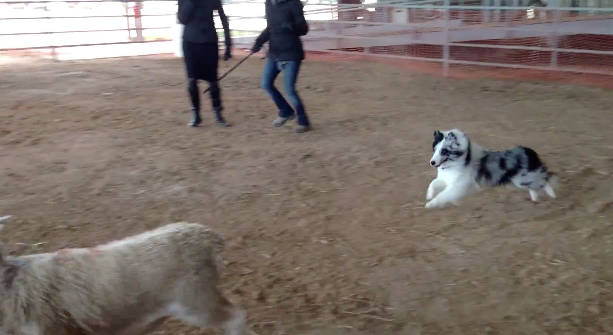 Screen Shot 2013-03-21 at 6.48.58 PM Screen Shot 2013-03-21 at 6.48.58 PM