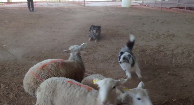 Screen Shot 2013-03-21 at 6.52.29 PM Screen Shot 2013-03-21 at 6.52.29 PM