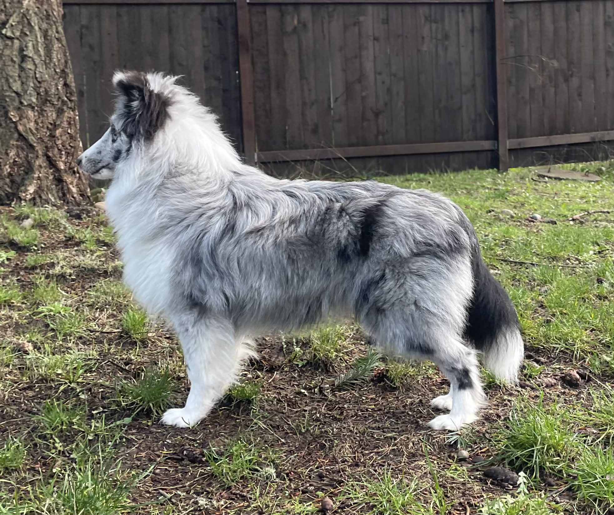 att.wq0CgwpjTRaNzdvL53oRV5BE34E9hsIGEOmFQteCKdk