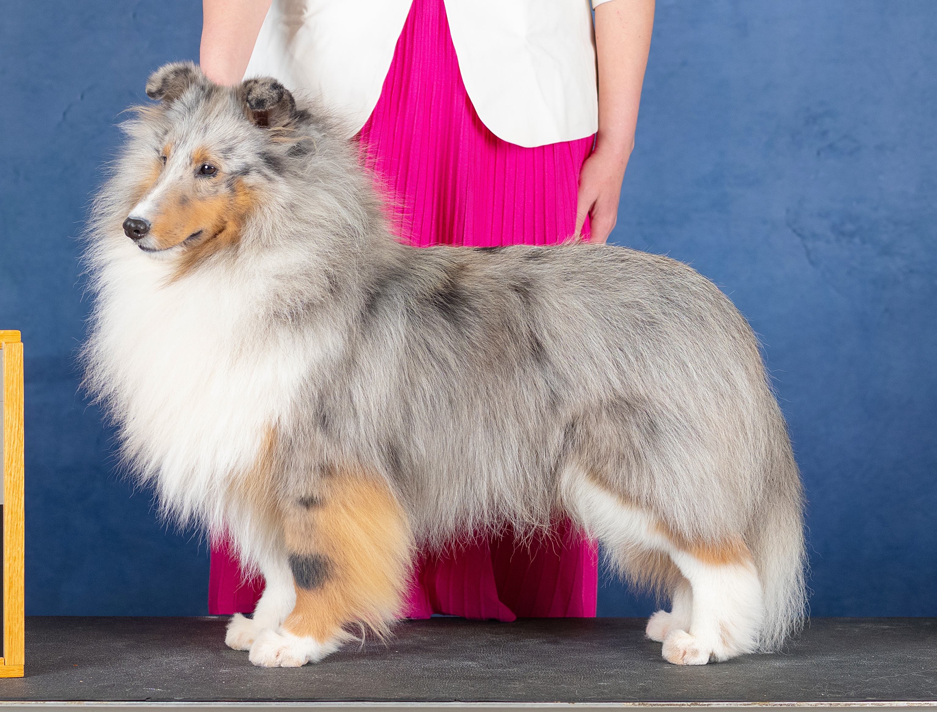 ASSA National 2026 Thursday-1504 copy