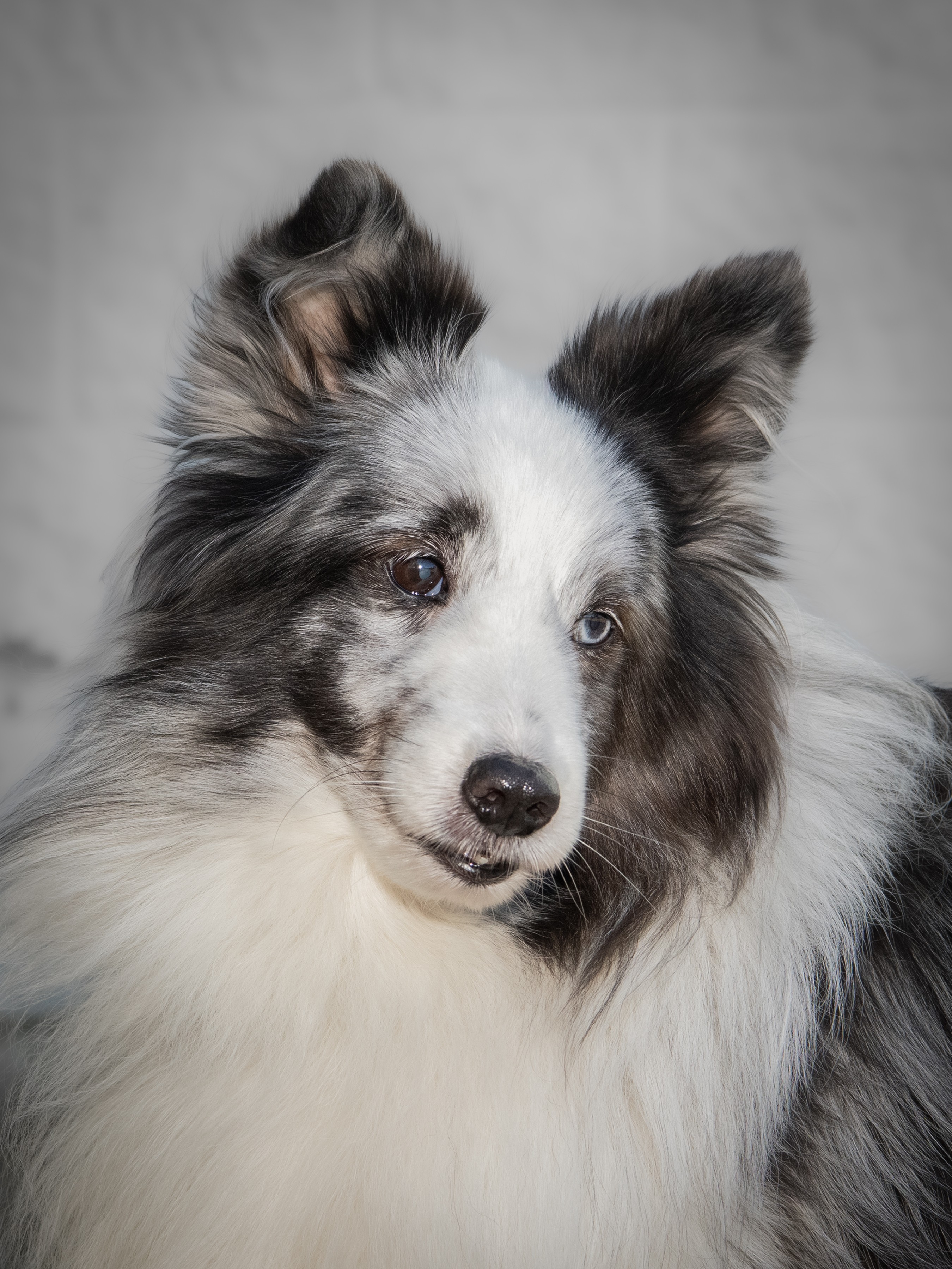 Destin_h2__8504271 copy-Original File